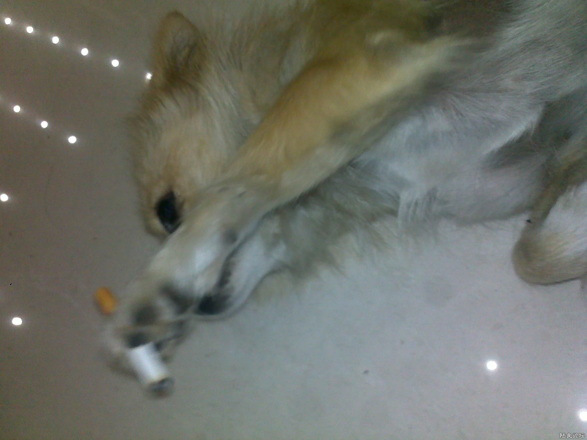 20110926224.jpg