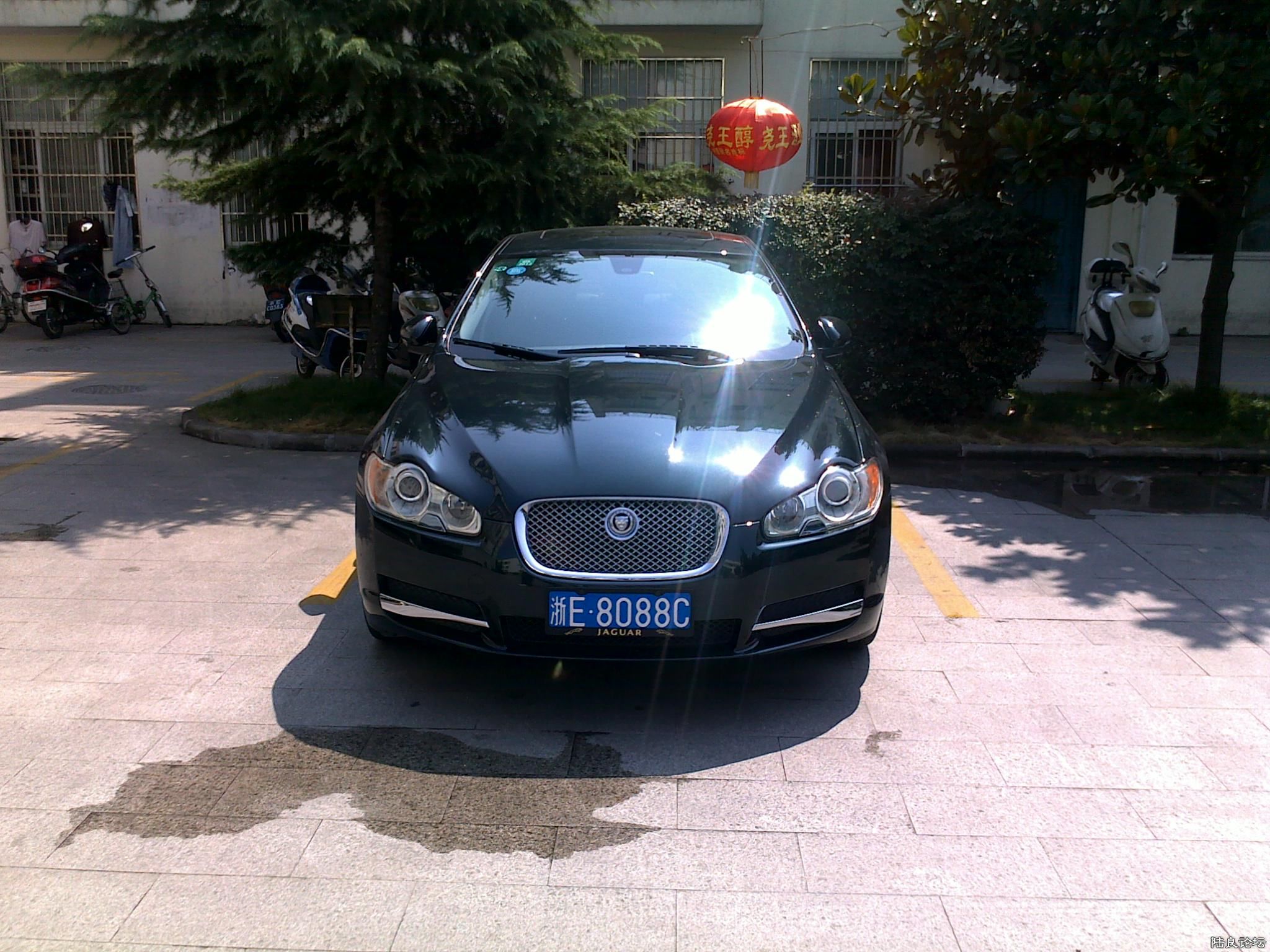 20100818075.jpg