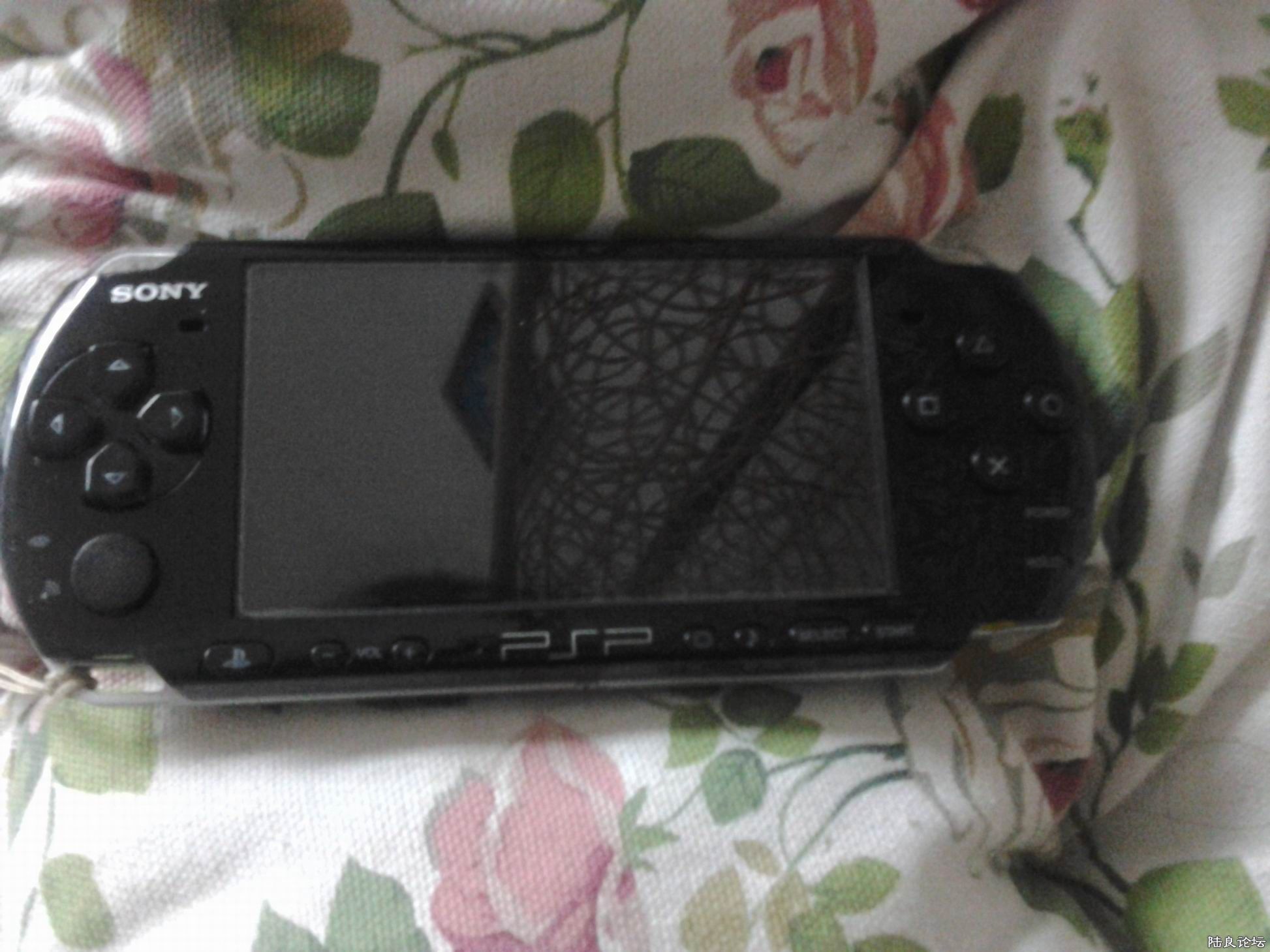 psp3000 ʵͼ